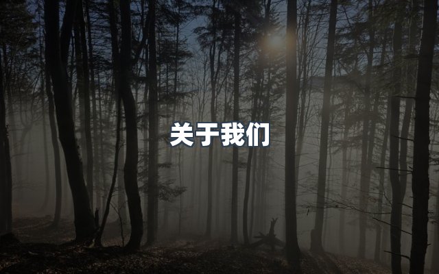 团队合作